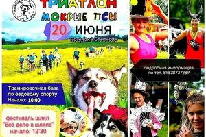Триатлон Мокрые псы и фестиваль шляп