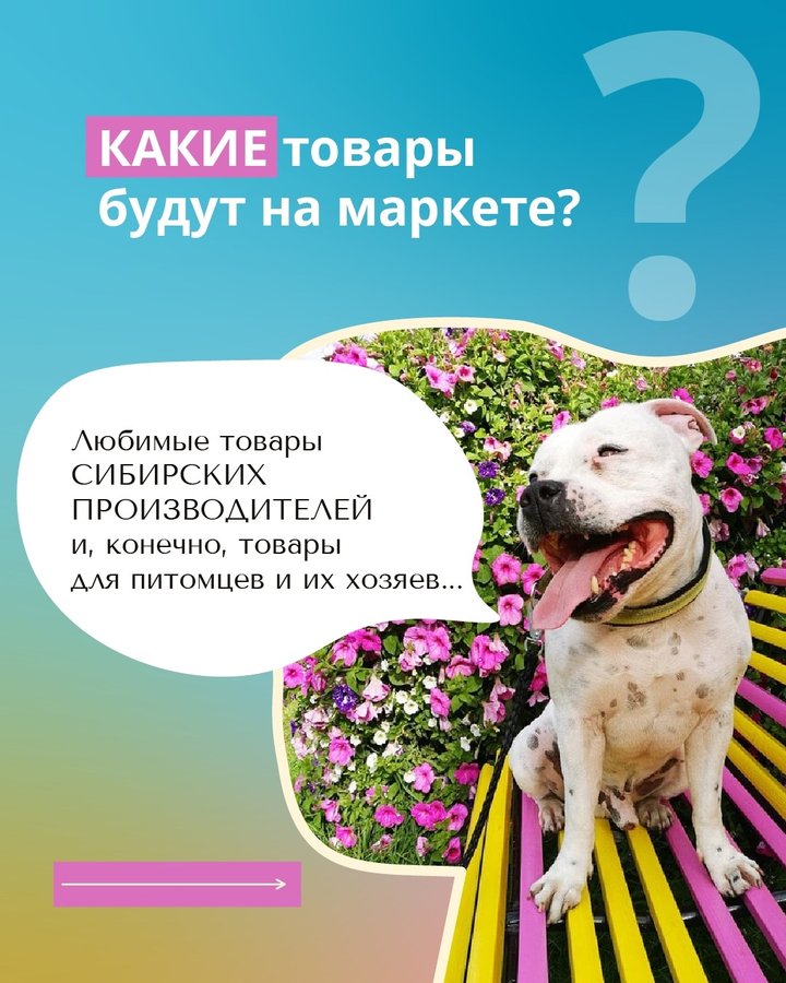Душевный Маркет. Лапа помощи 🐾 Новосибирск - изображение 5