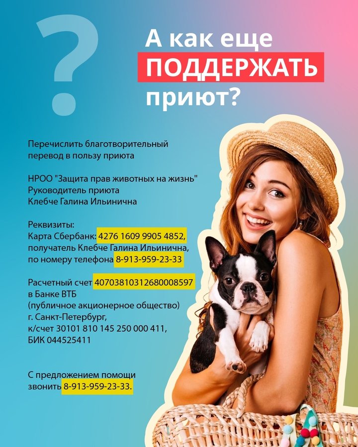 Душевный Маркет. Лапа помощи 🐾 Новосибирск - изображение 2