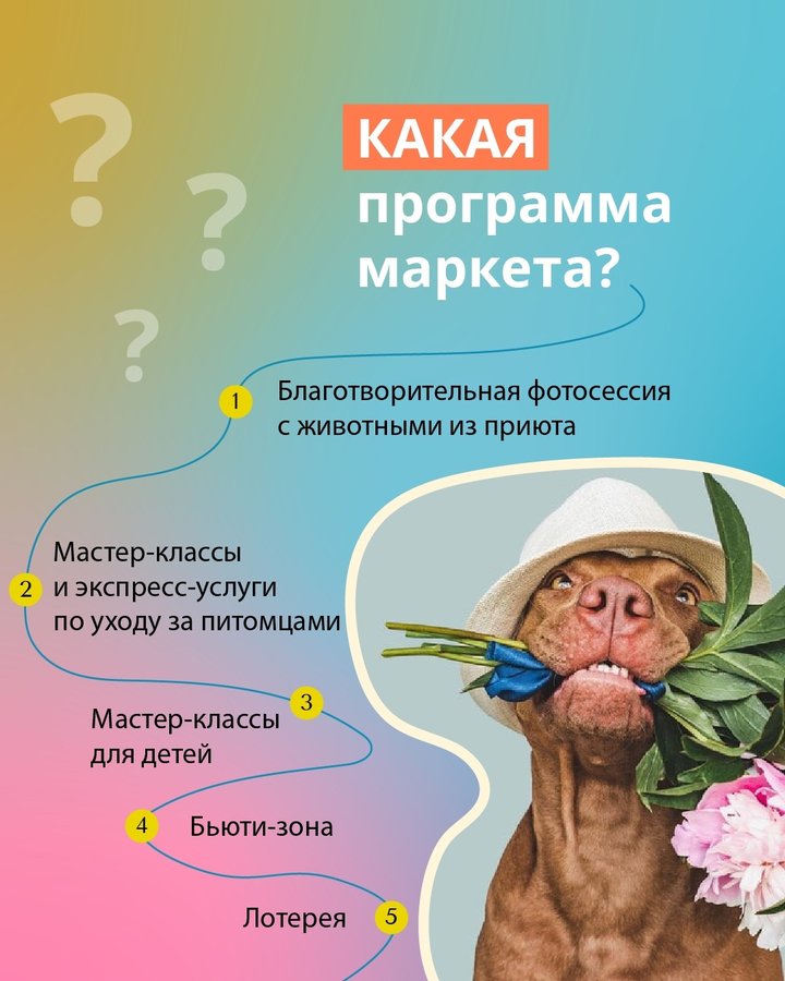 Душевный Маркет. Лапа помощи 🐾 Новосибирск - изображение 4