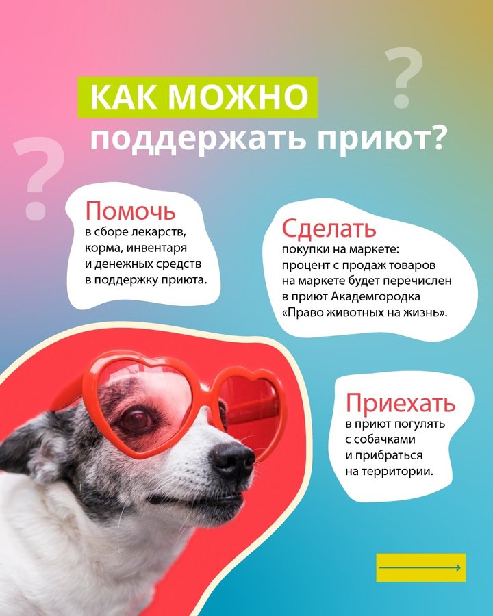 Душевный Маркет. Лапа помощи 🐾 Новосибирск - изображение 3