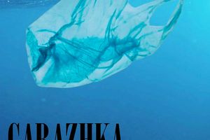 BIG SUMMER FEST & GARAZHKA