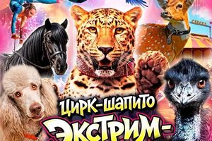 Цирк-шапито Экстрим Шоу в Новосибирске