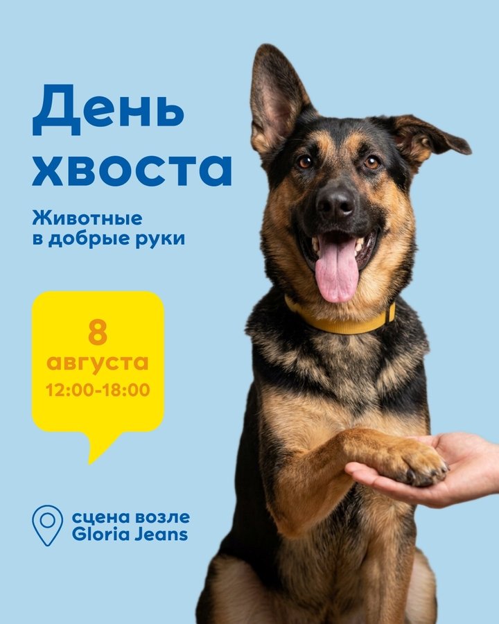 Ярмарка-раздача животных День Хвоста в МЕГЕ - изображение 1