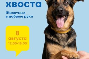 Ярмарка-раздача животных День Хвоста в МЕГЕ