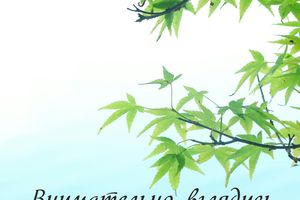 Внимательно вглядись...