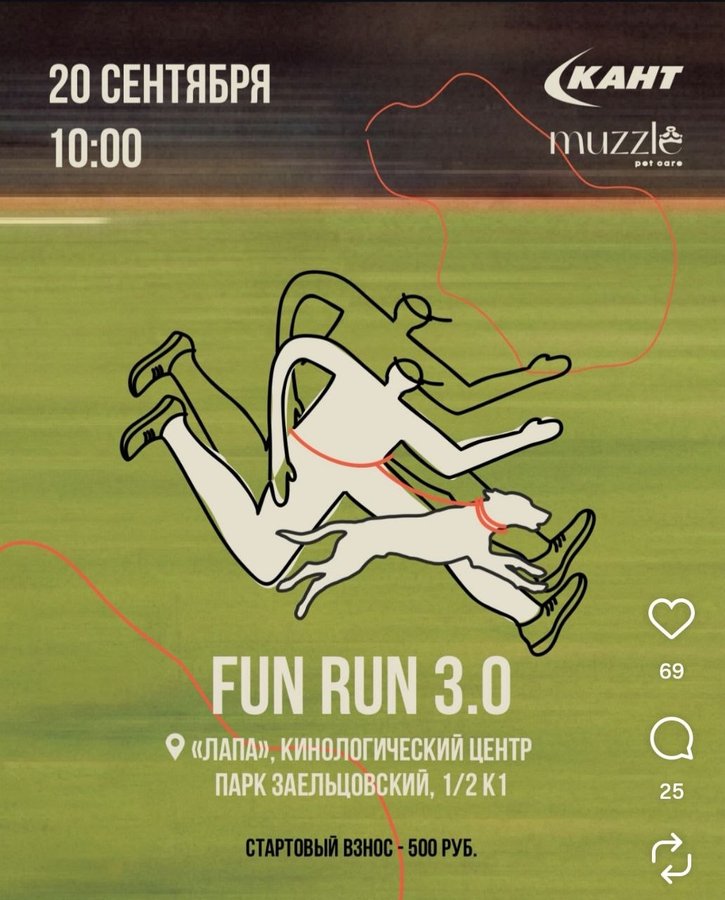 FUN RUN 3.0 — спортивная пробежка с питомцами - изображение 1