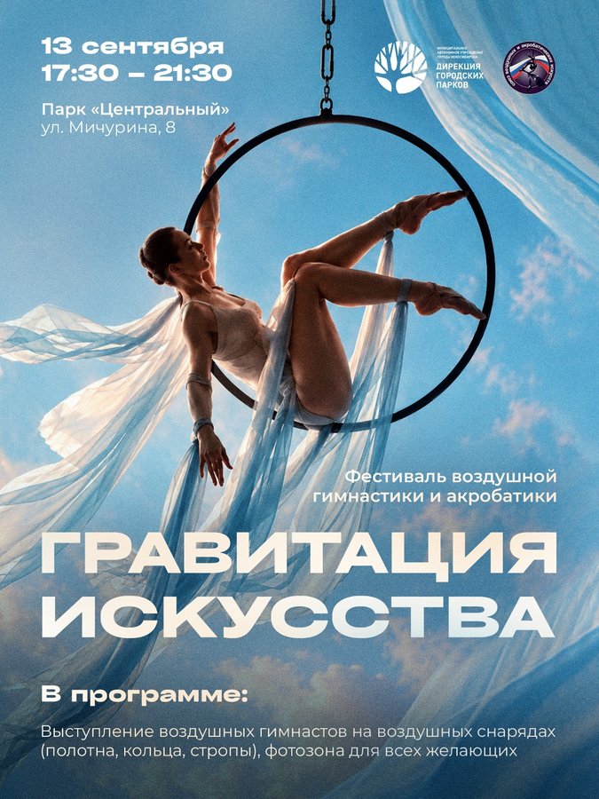 Гравитация искусства — фестиваль воздушной гимнастики - изображение 1