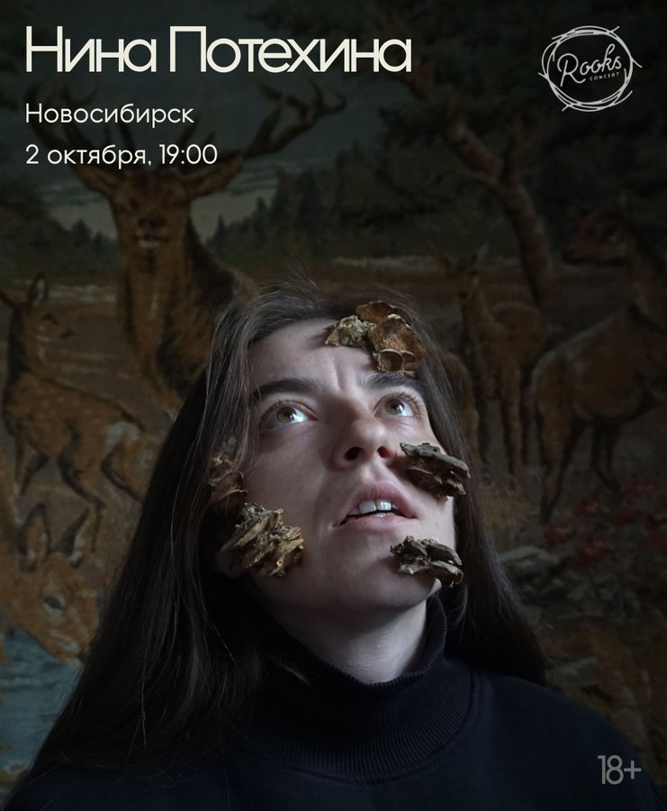 Концерт Нины Потехиной - изображение 1