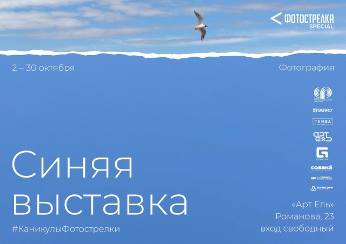 Синяя выставка и КаникулыФотострелки в Новосибирске - изображение 1