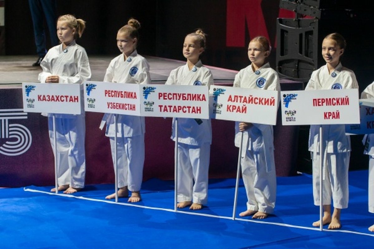 Кубок маршала А.И. Покрышкина по карате - изображение 2