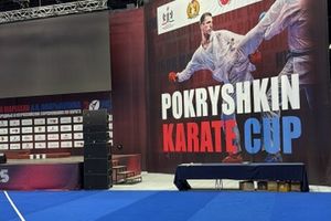 Кубок маршала А.И. Покрышкина по карате