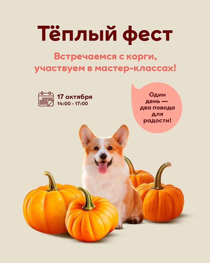 Осенний фестиваль Всем по тыкве в МЕГЕ - изображение 1