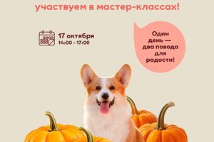 Осенний фестиваль Всем по тыкве в МЕГЕ