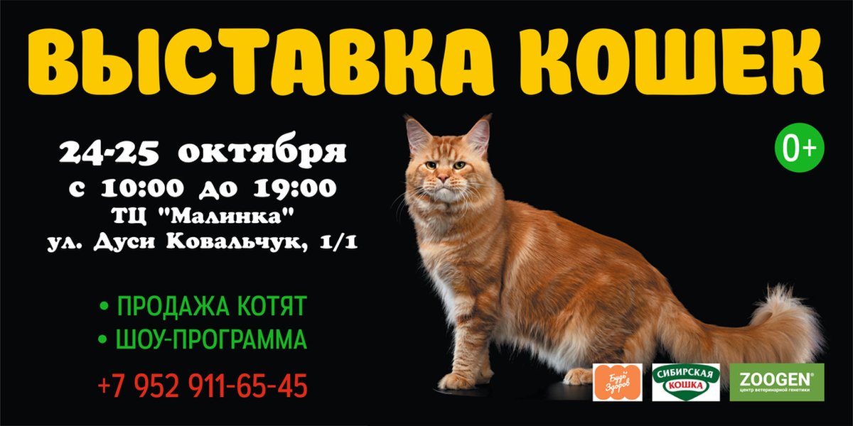 Выставка Кошек в ТЦ Малинка - изображение 1