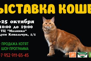 Выставка Кошек в ТЦ Малинка