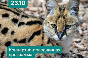 Закрытие Декады пожилого человека в зоопарке
