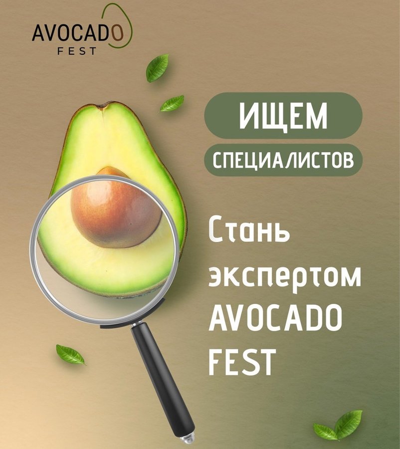 AVOCADO FEST 2025 - изображение 3