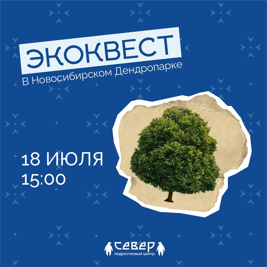 Эко-квест в Новосибирском Дендропарке - изображение 1