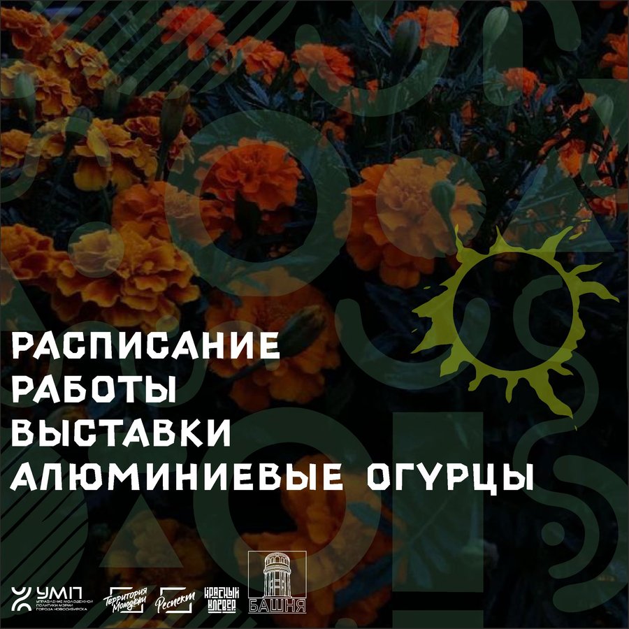 КВАРТИРНИК на закрытии выставки «Алюминиевые огурцы» - изображение 3