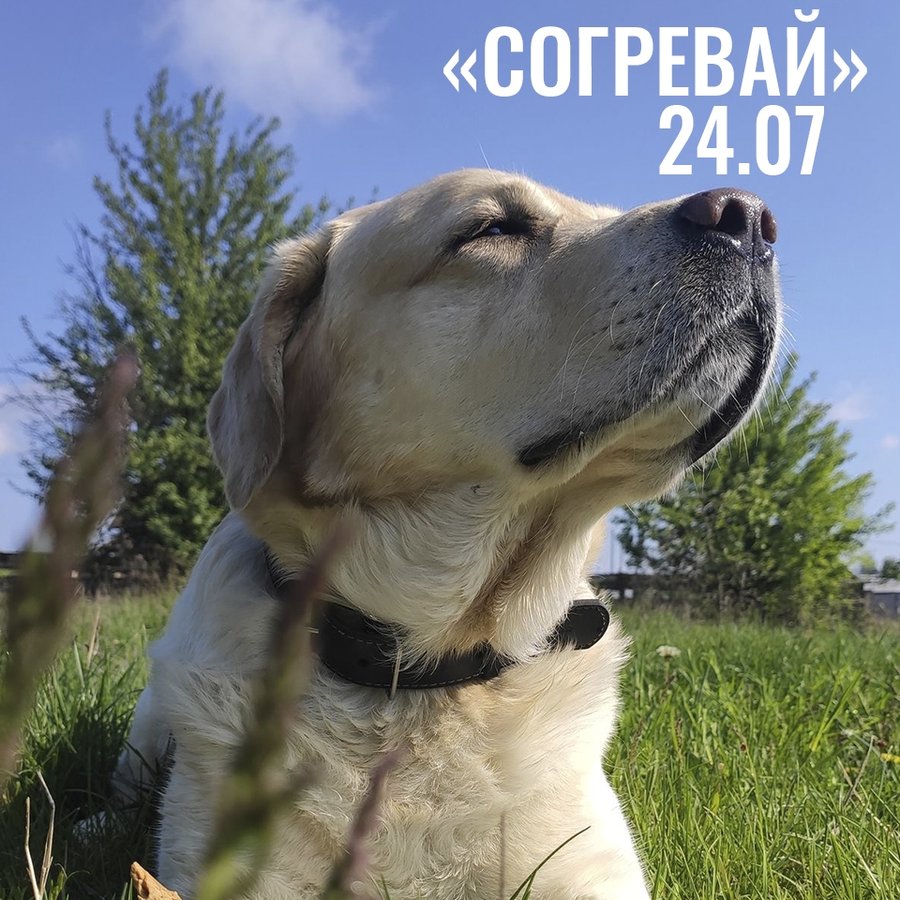 Благотворительный день «Согревай» в Новосибирске - изображение 1