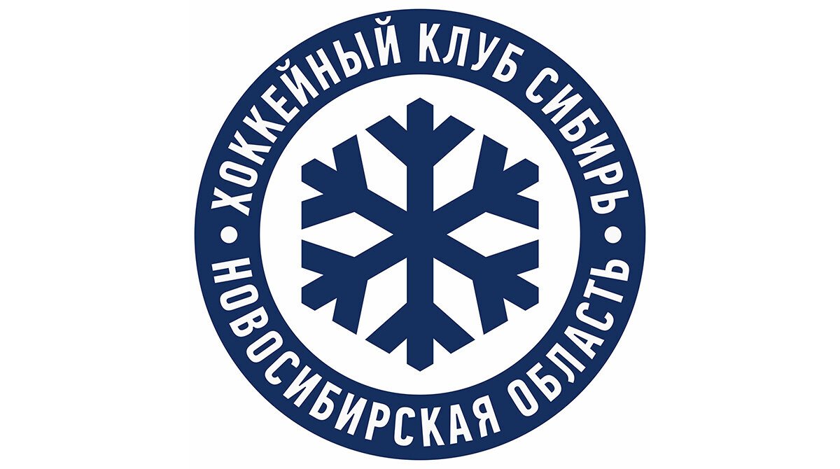 Товарищеский хоккейный матч Сибирь - Сокол - изображение 3
