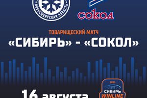 Товарищеский хоккейный матч Сибирь - Сокол