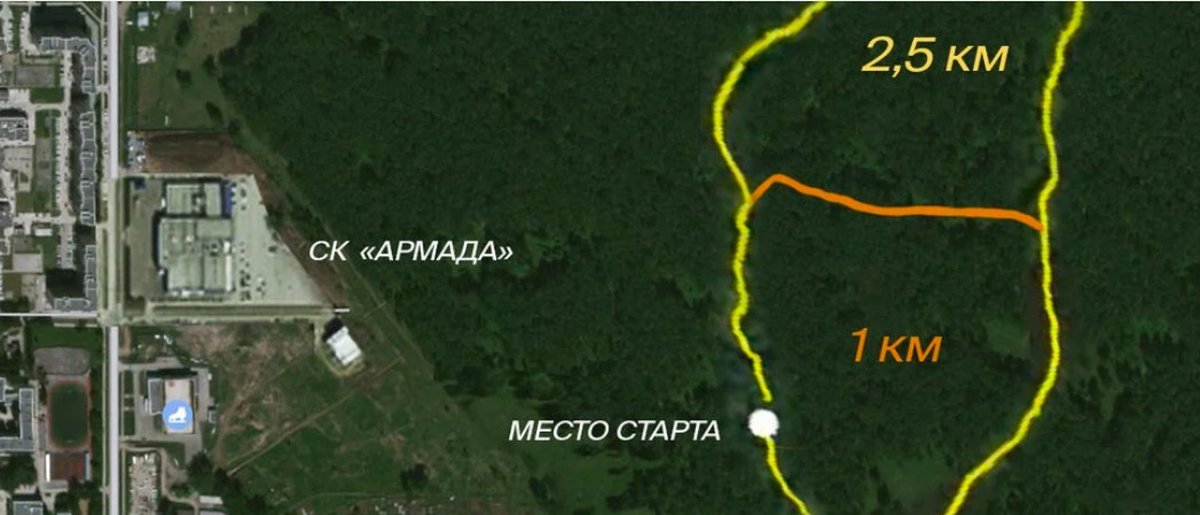 Белый лес, кросс им. И.И.Синягина 24 августа - изображение 2