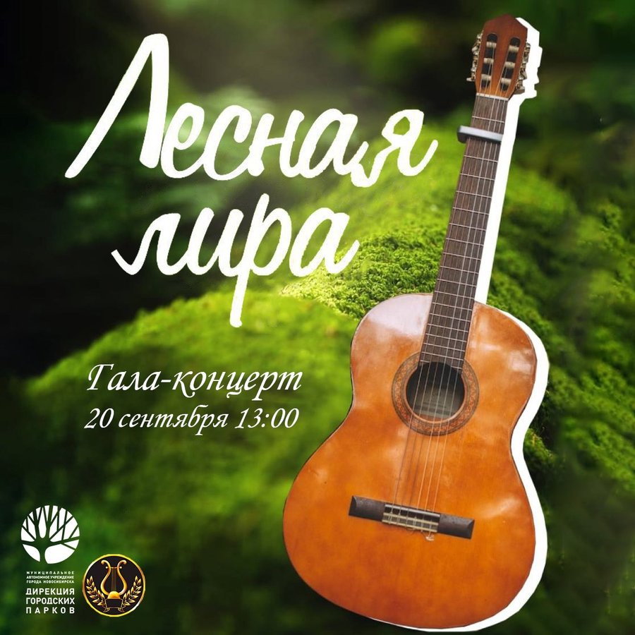 XIX Фестиваль «Лесная Лира» в парке «Сосновый бор» - изображение 3