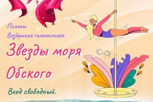 Фестиваль воздушной гимнастики и пилонного искусства