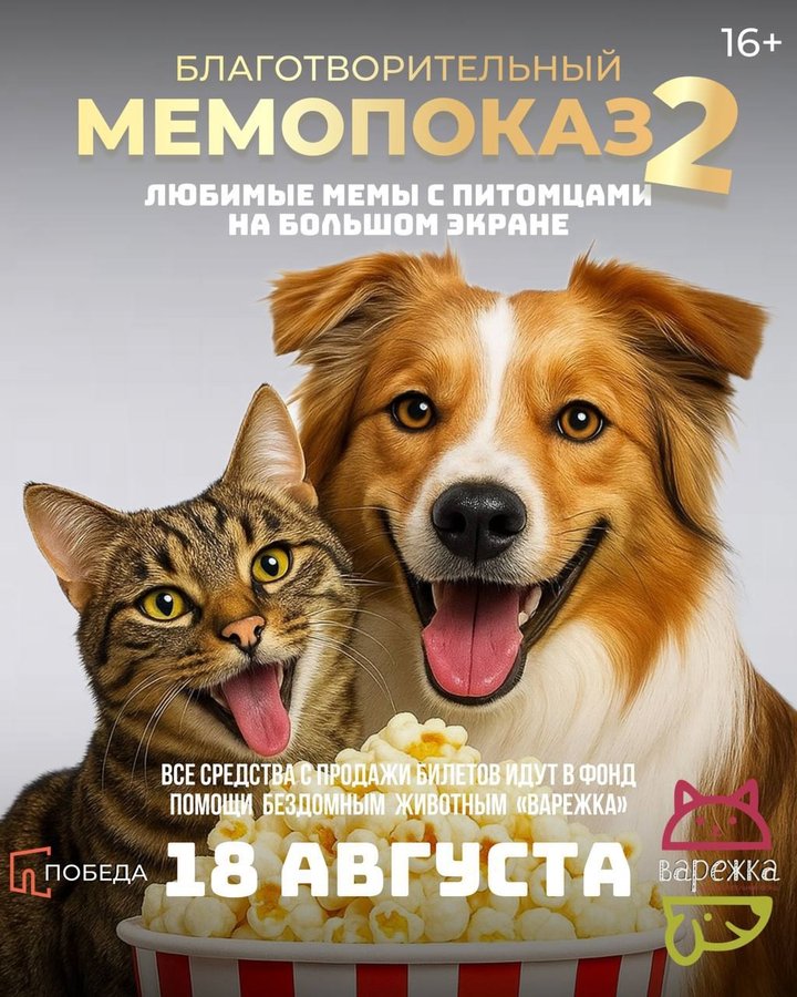 Благотворительный МЕМОПОКАЗ в Победе - изображение 1