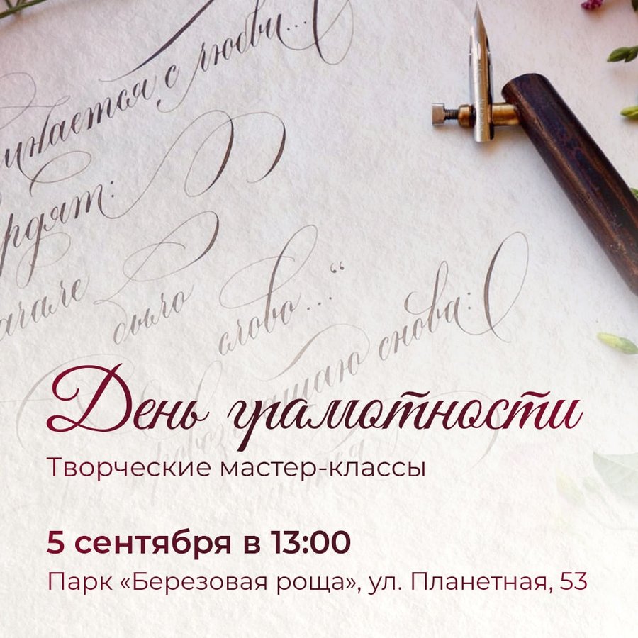 День грамотности в Березовой роще - изображение 1