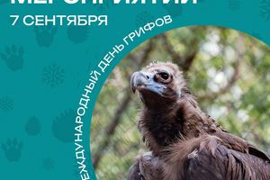 Международный день грифов в зоопарке