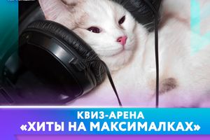 Музыкальный квиз "Хиты на максималках" в ТРК Эдем