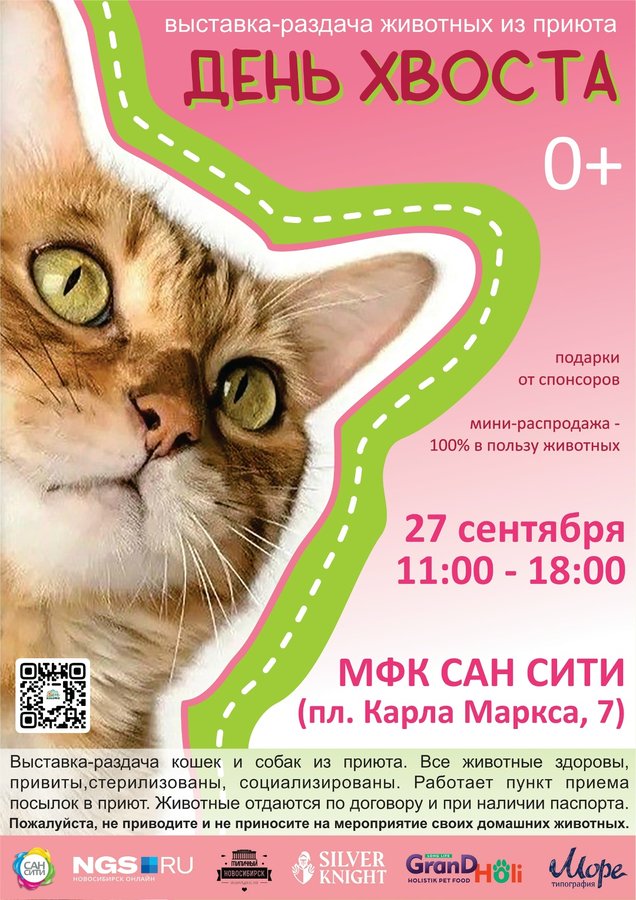 День Хвоста выставка-раздача животных из приюта - изображение 2