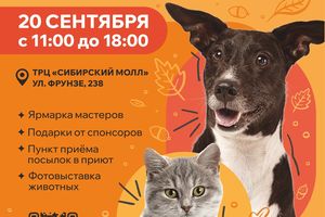 Осенний Хвостофест выставка-раздача животных из приюта