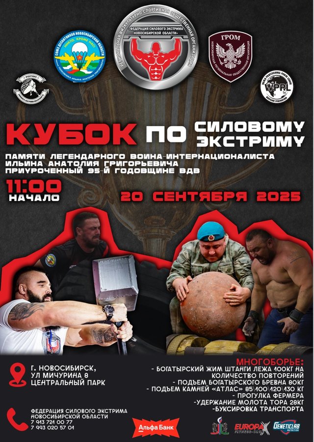 Кубок по силовому экстриму А.Г.Ильина - изображение 1