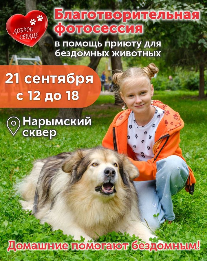Фотосессия в поддержку подопечных приюта для животных - изображение 1