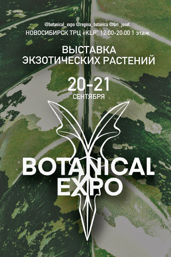 Выставка BOTANICAL EXPO 2025 в Новосибирске - изображение 1