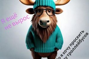 Полулось 2.0 - массовый велозабег
