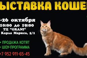 МЕЖДУНАРОДНАЯ ВЫСТАВКА КОШЕК в Новосибирске