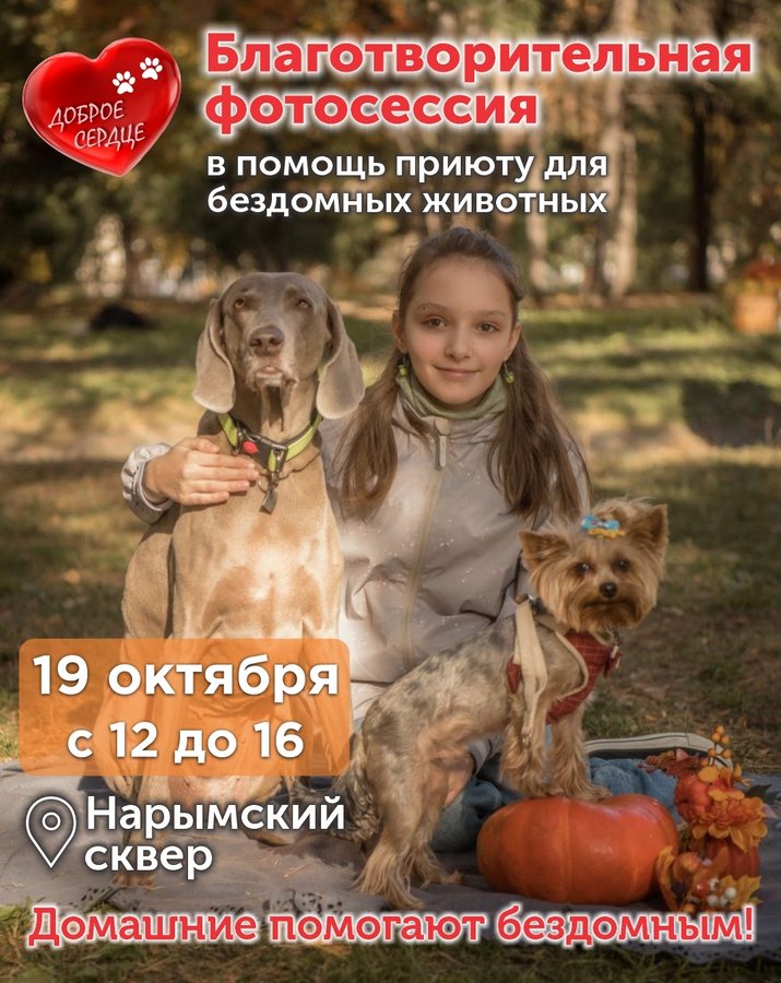 Благотворительная фотосессия в поддержку приюта - изображение 1