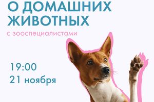 День домашних животных в «Балконе»