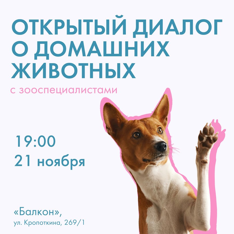 День домашних животных в «Балконе» - изображение 1