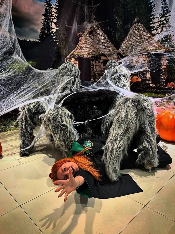 ВЫСТАВКА "ВСЕЛЕННАЯ ГАРРИ ПОТТЕРА" - изображение 4