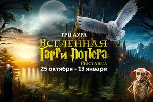 ВЫСТАВКА "ВСЕЛЕННАЯ ГАРРИ ПОТТЕРА"