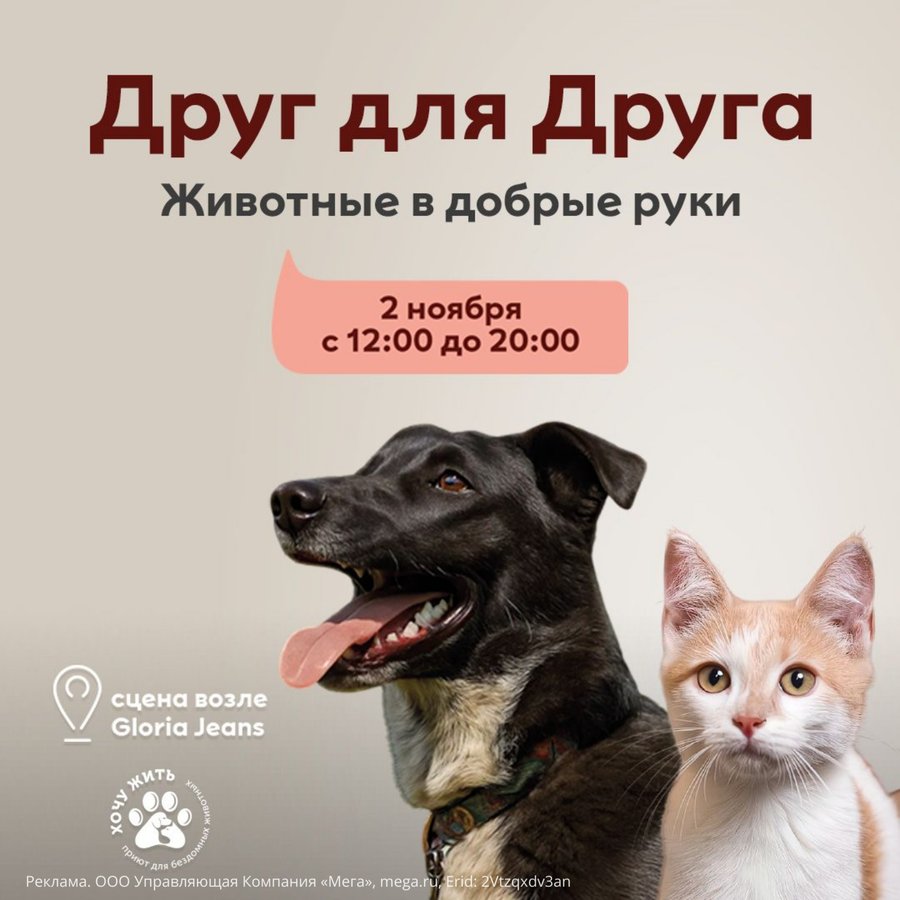 Выставка-раздача животных «Друг для Друга» в Меге - изображение 1