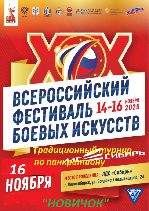 Всероссийский фестиваль боевых искусств - изображение 1