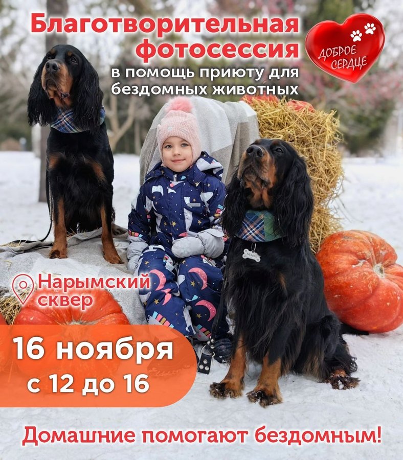 БЛАГОТВОРИТЕЛЬНАЯ ФОТОСЕССИЯ «ДОБРОЕ СЕРДЦЕ» - изображение 1