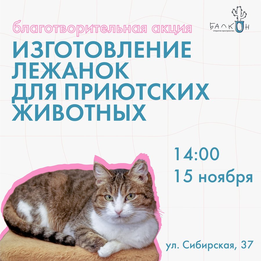 Благотворительная акция «Лежанки для животных» - изображение 1